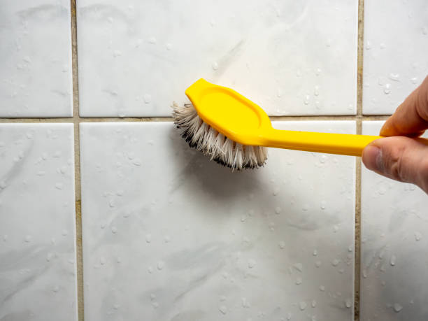  Maumelle, AR Mold Removal Pros