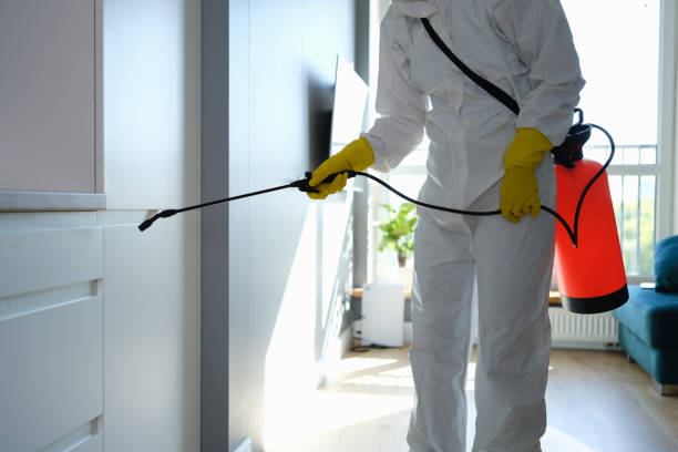 Best Mold Testing  in Maumelle, AR